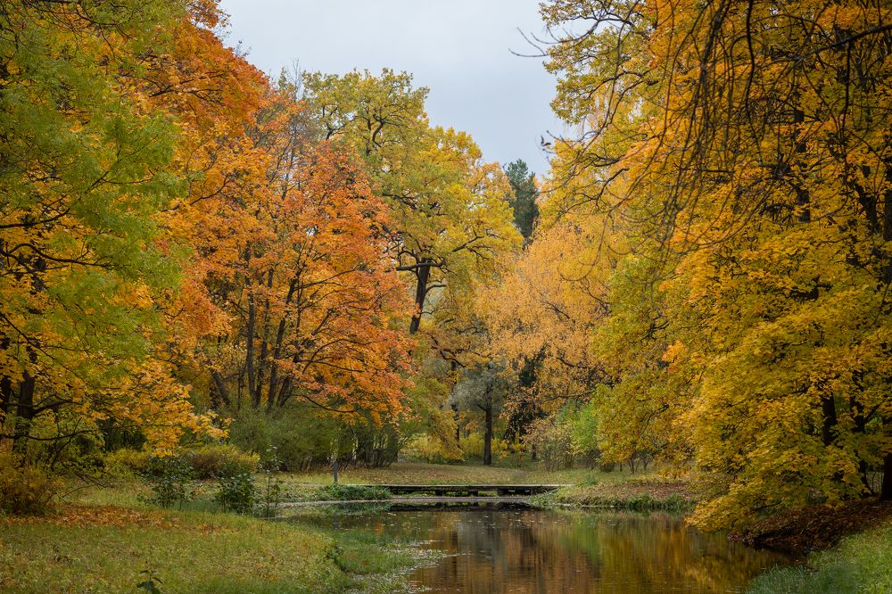 Photograph by Pavel Klishin