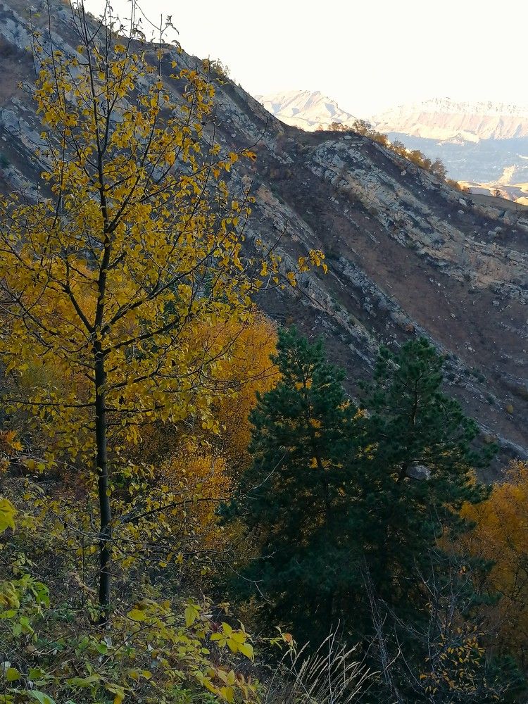 Photograph by Снежана Масалыкина