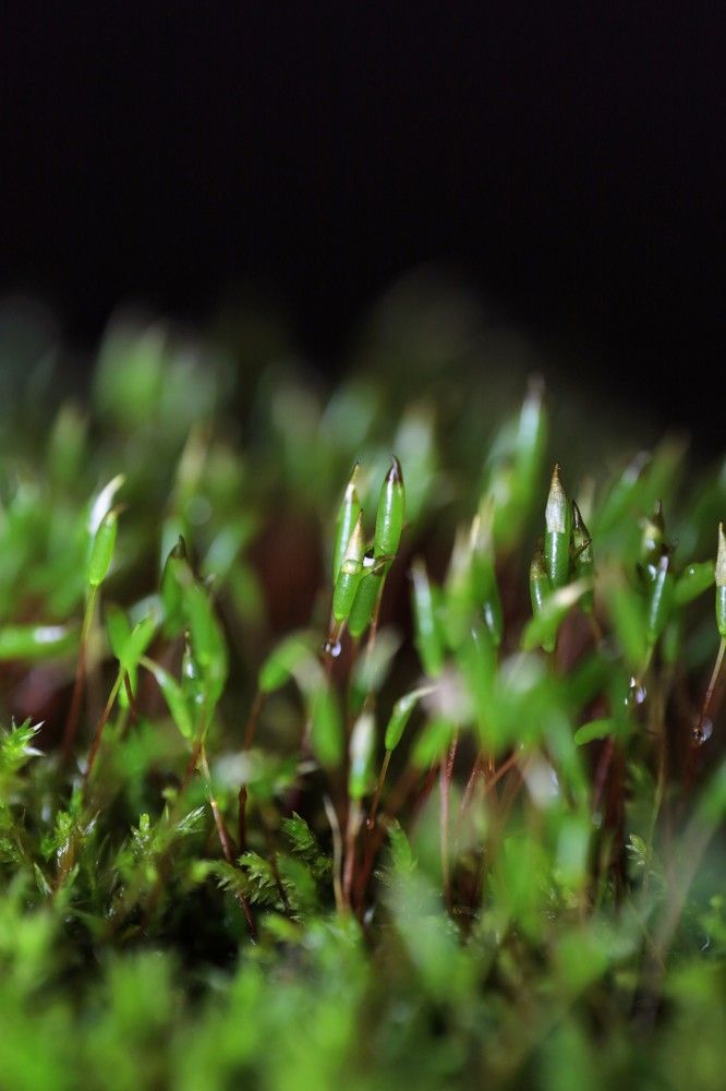 Photograph by Сергей Конюшенко