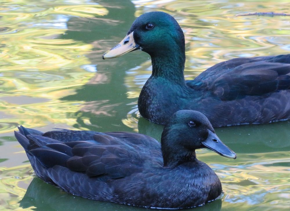 Photograph by Елена Кузина