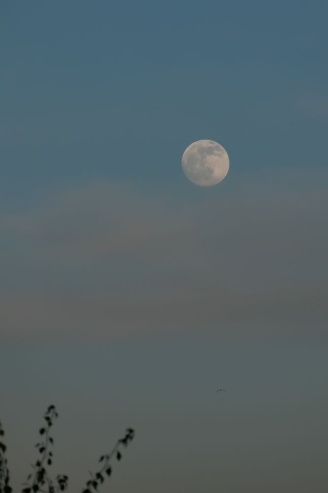 Photograph by Сергей Конюшенко