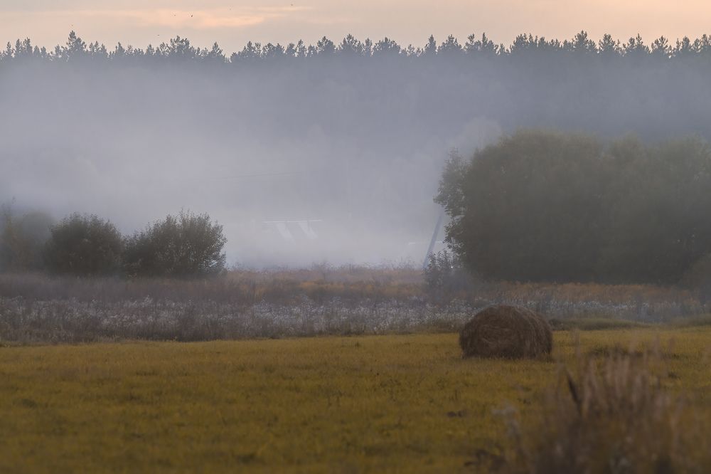 Photograph by Пронин Денис