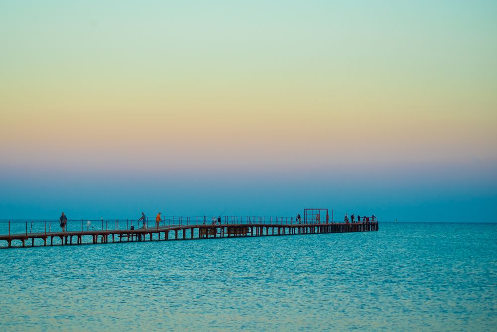 Фотография автора Алёна Подгорная