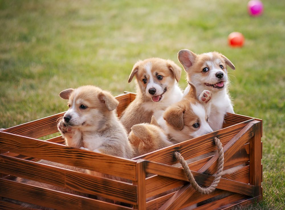 Photograph by Григорьева Юлия