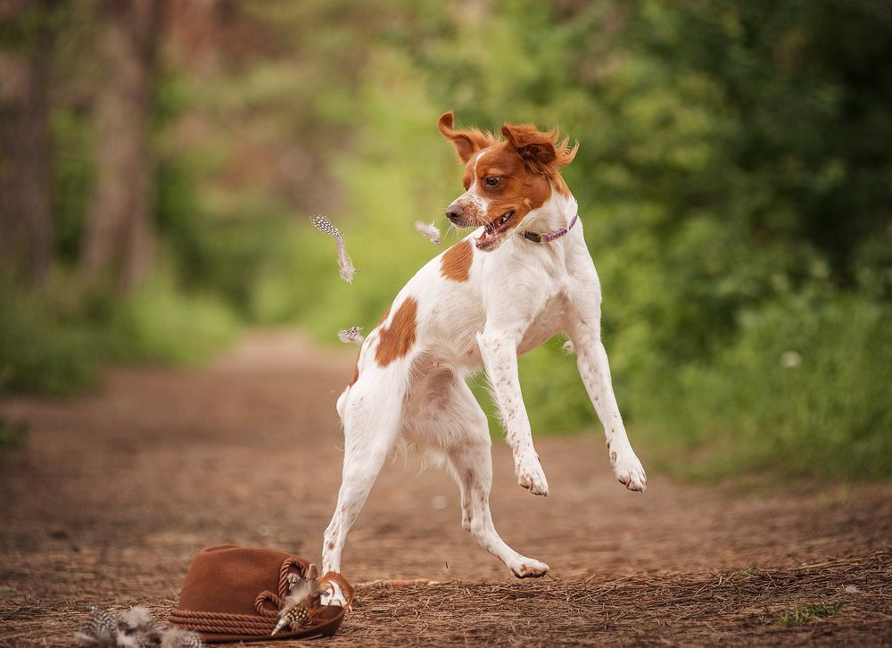 Photograph by Григорьева Юлия