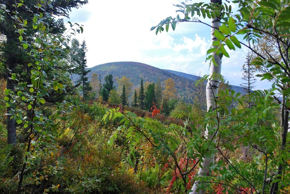 Фотография автора Сергей Тимофеев