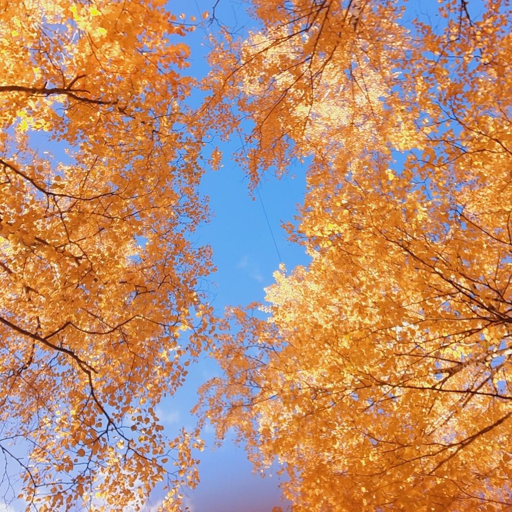 Photograph by Евгения Ульянова