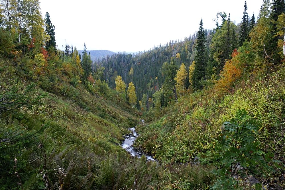 Фотография автора Сергей Тимофеев