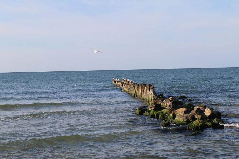 Photograph by Софья Белоногова