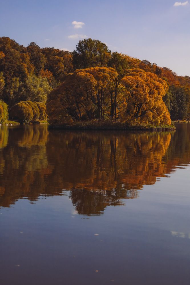 Photograph by Астахова Анастасия