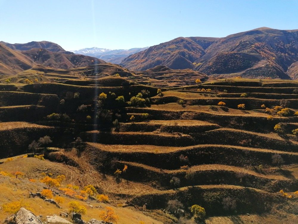 Photograph by Снежана Масалыкина