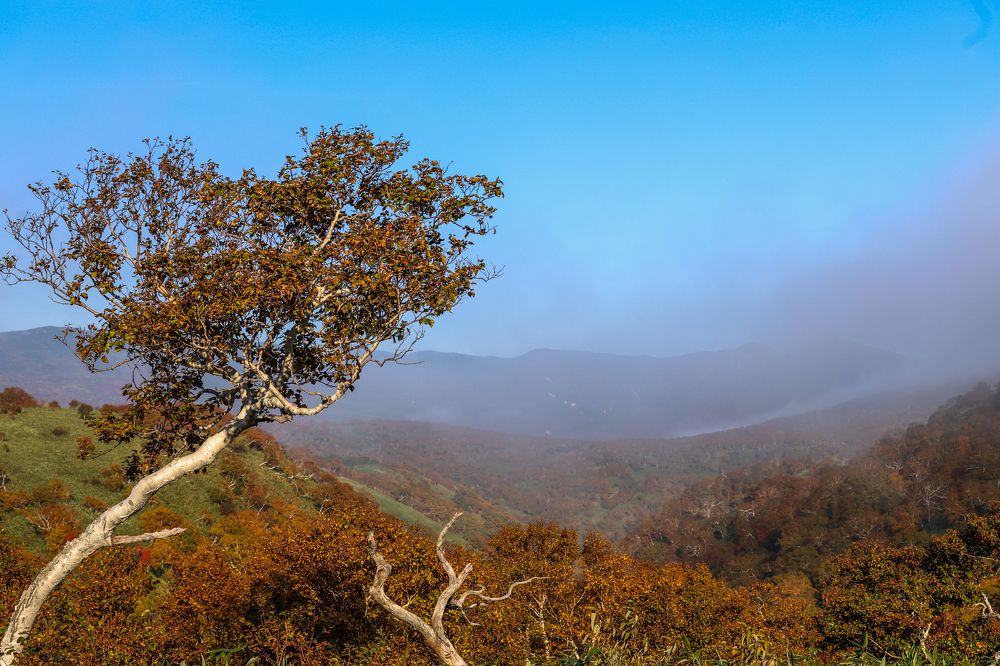 Photograph by Екатерина Якель