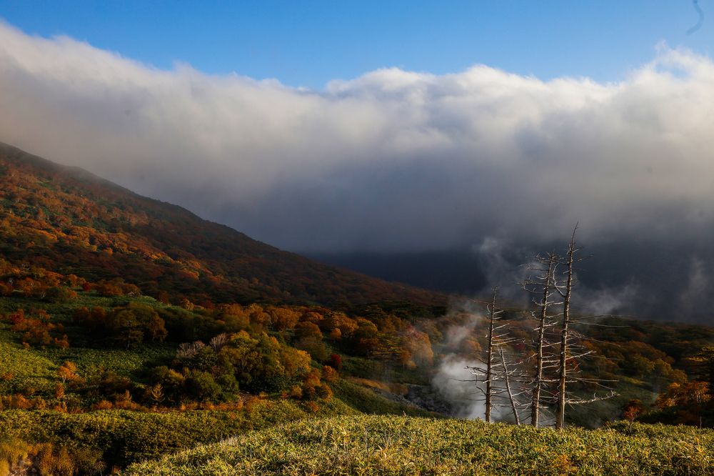 Photograph by Екатерина Якель