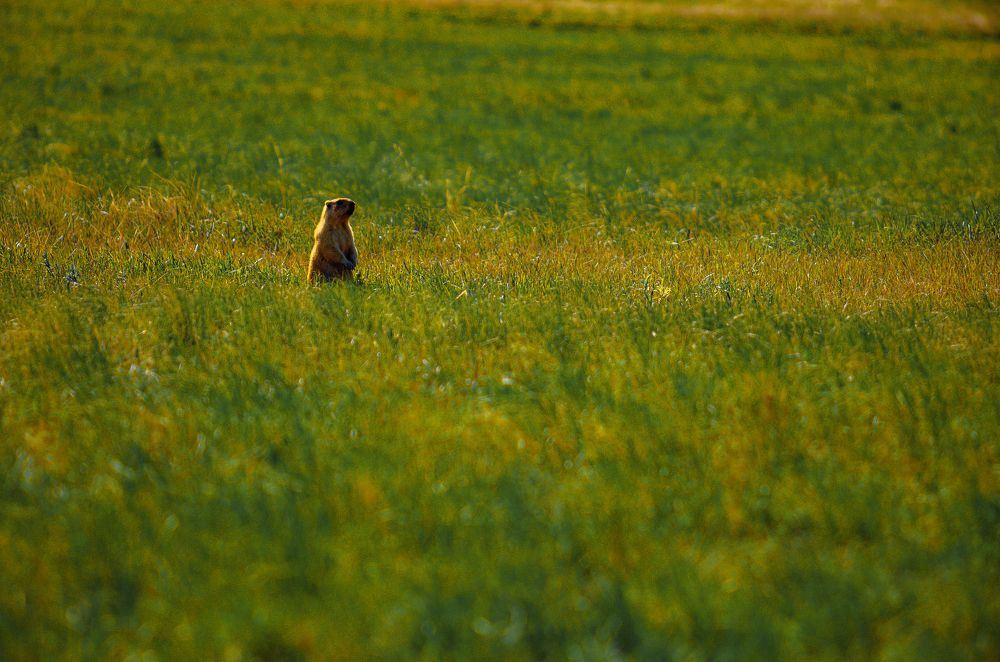 Photograph by Дмитрий Бровко