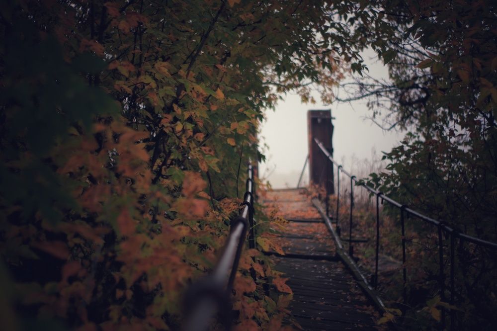 Photograph by Ольга Золотарева