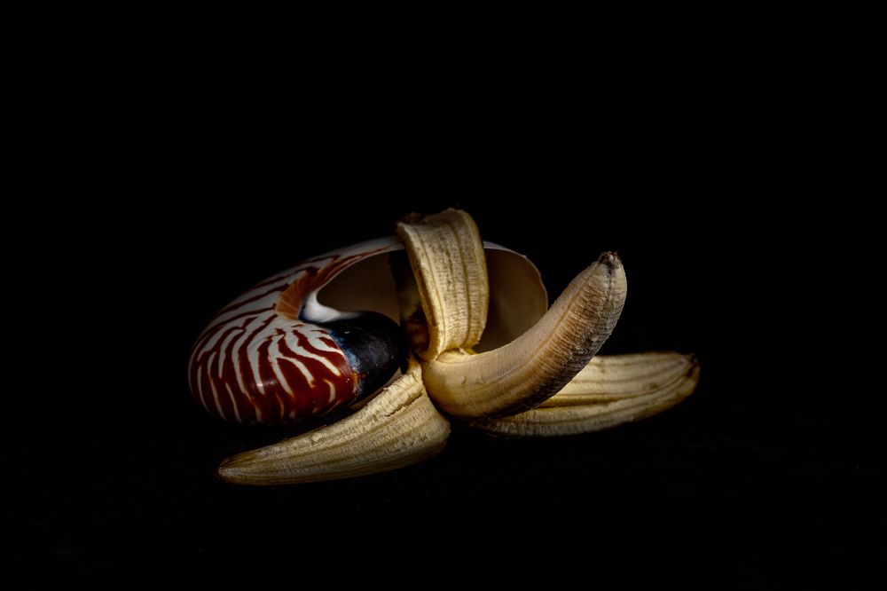 Банановая жизнь.