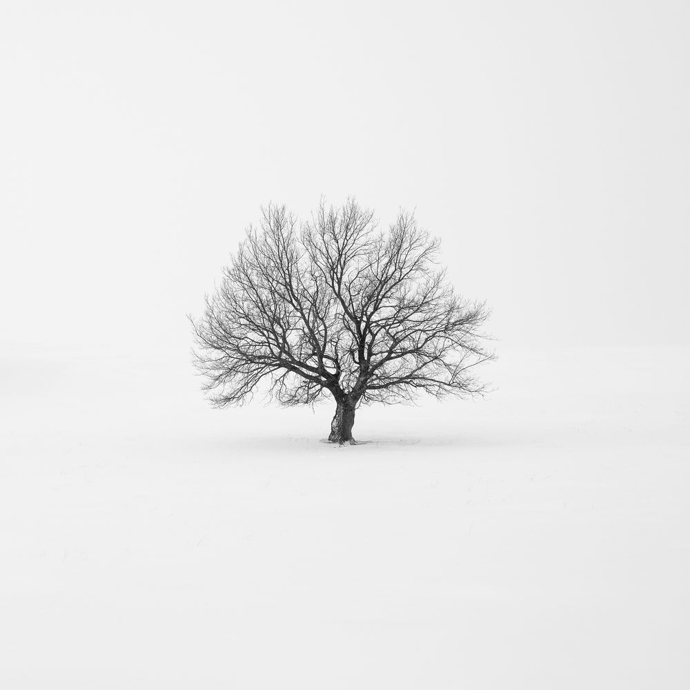 Фотография автора Евгений Иванов