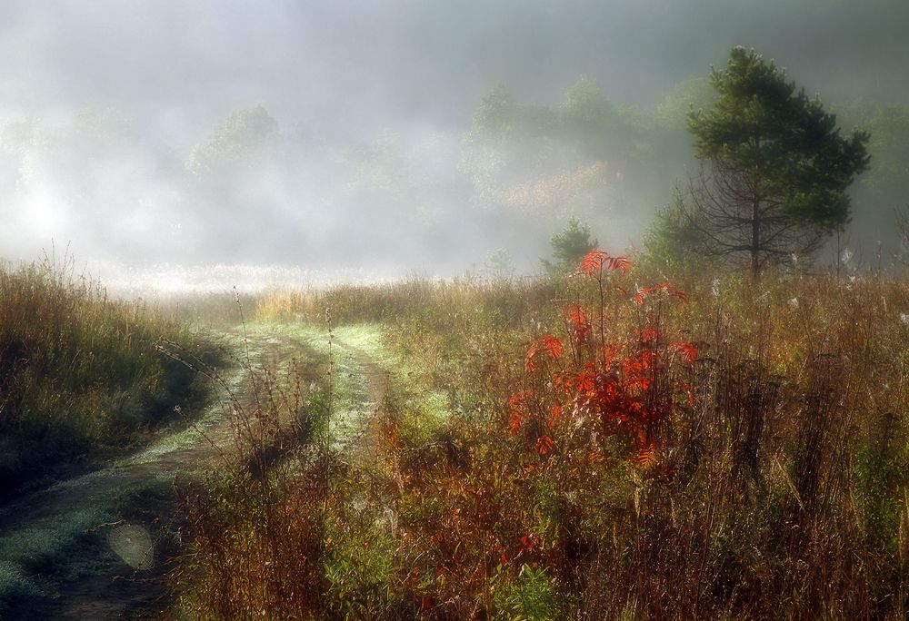 Photograph by Алексей Окунеев