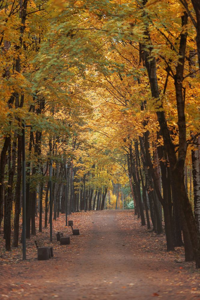 Фотография автора Александр Колдин