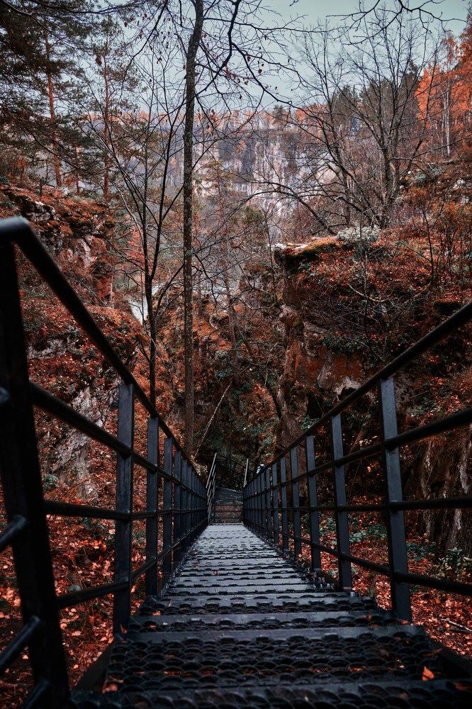 Photograph by ДМИТРИЙ МАКСИМОВ