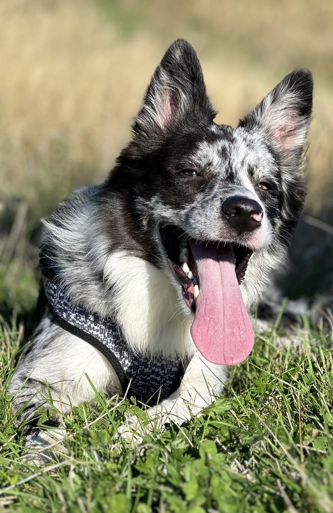 Фотография автора Наталья Старикова