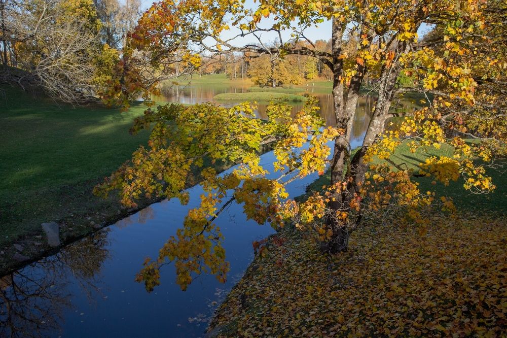 Золото осеннего парка.