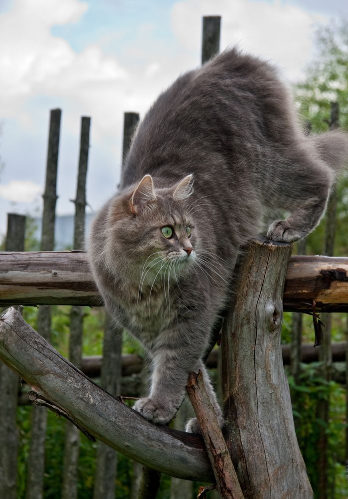 Photograph by Елена Чернова