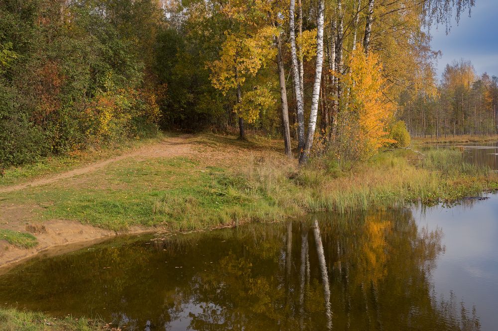 Photograph by Светлана Давыдова