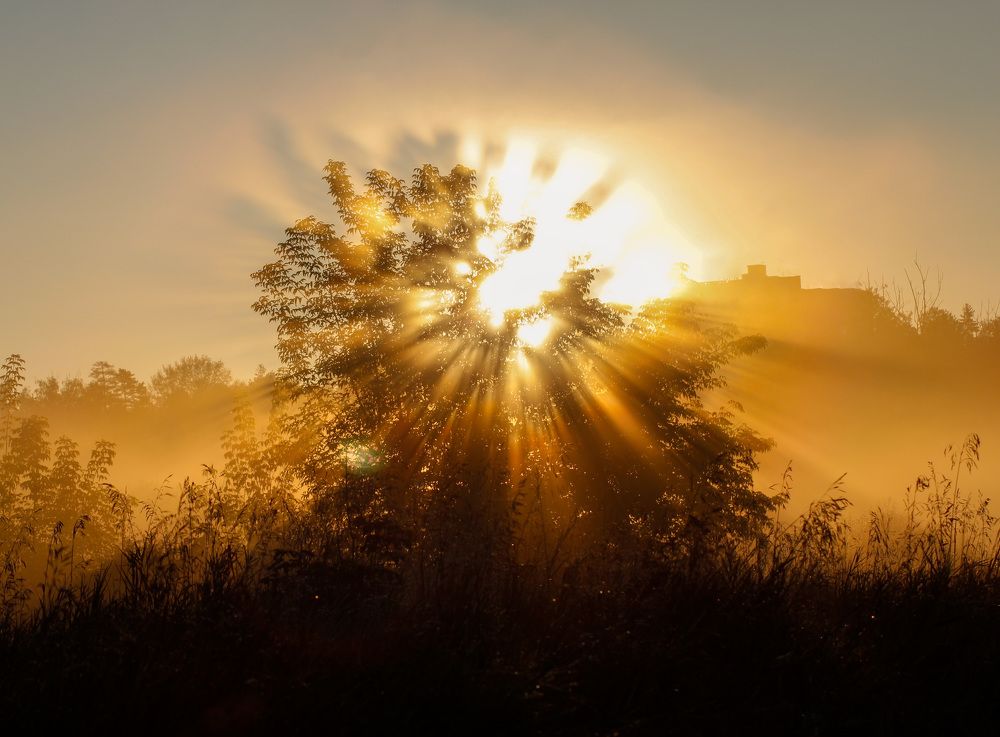 Photograph by Матвей Короткин