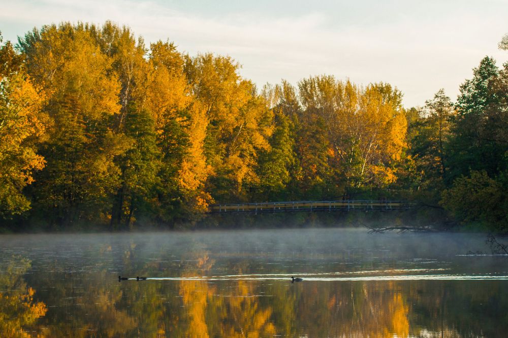 Photograph by Матвей Короткин