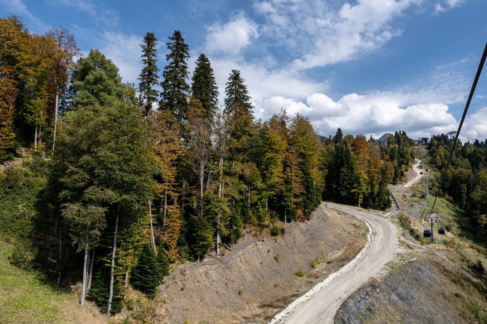 Photograph by Наталья Жигелис