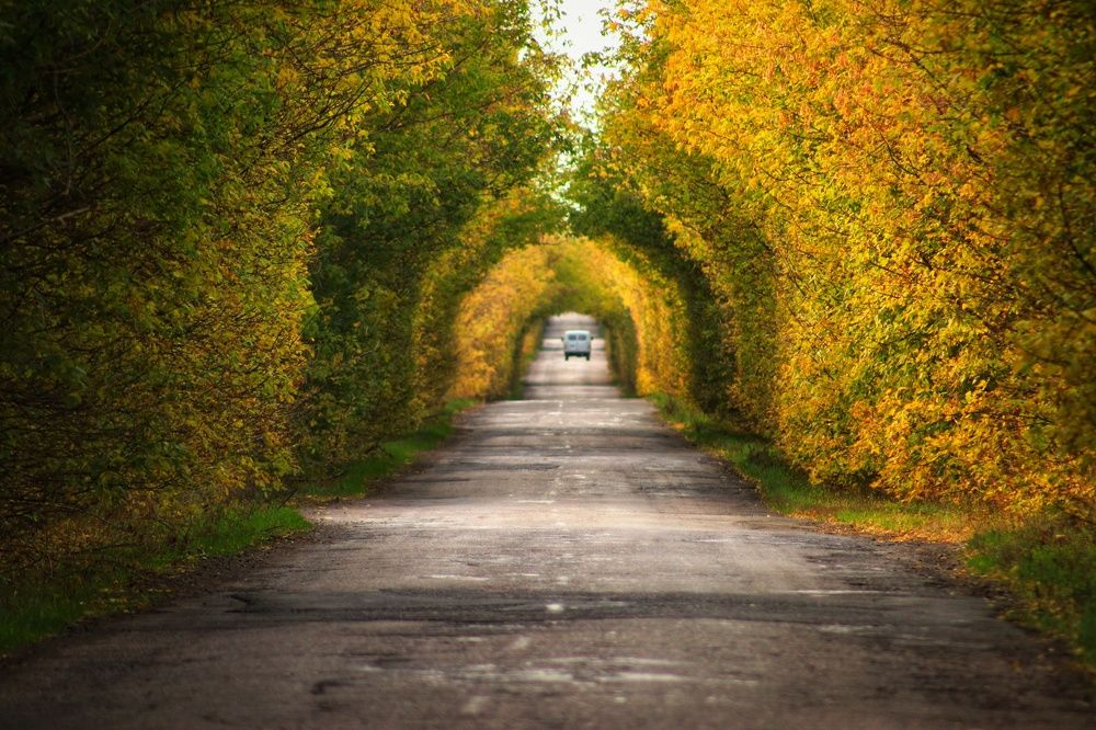 Photograph by Ольга Золотарева