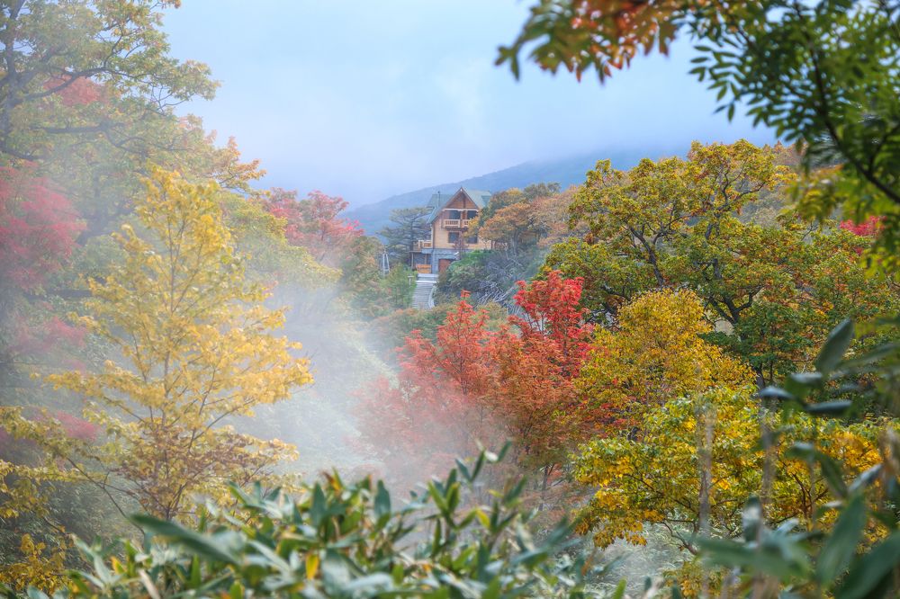 Photograph by Екатерина Якель