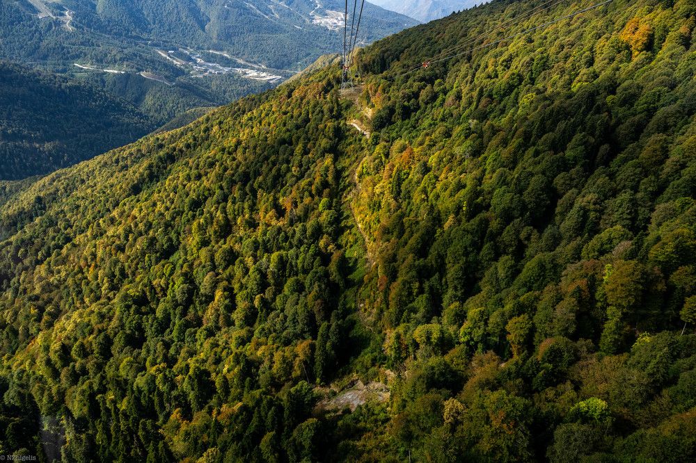 Photograph by Наталья Жигелис