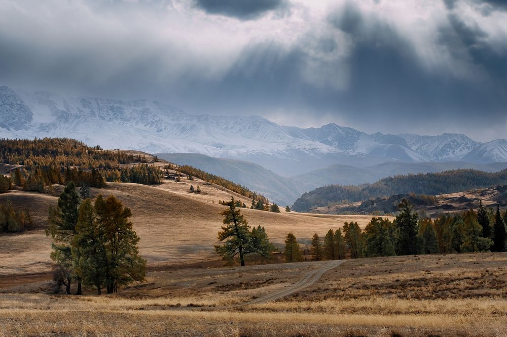 Photograph by Анастасия Сауль
