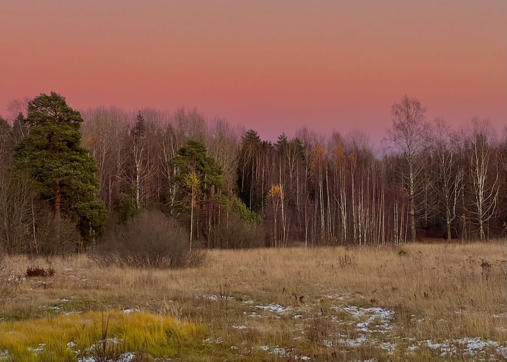 Осенний марафон