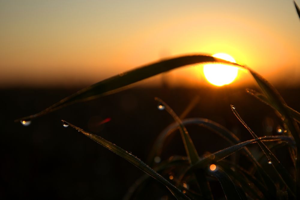 Photograph by ANDREY KISELYOV