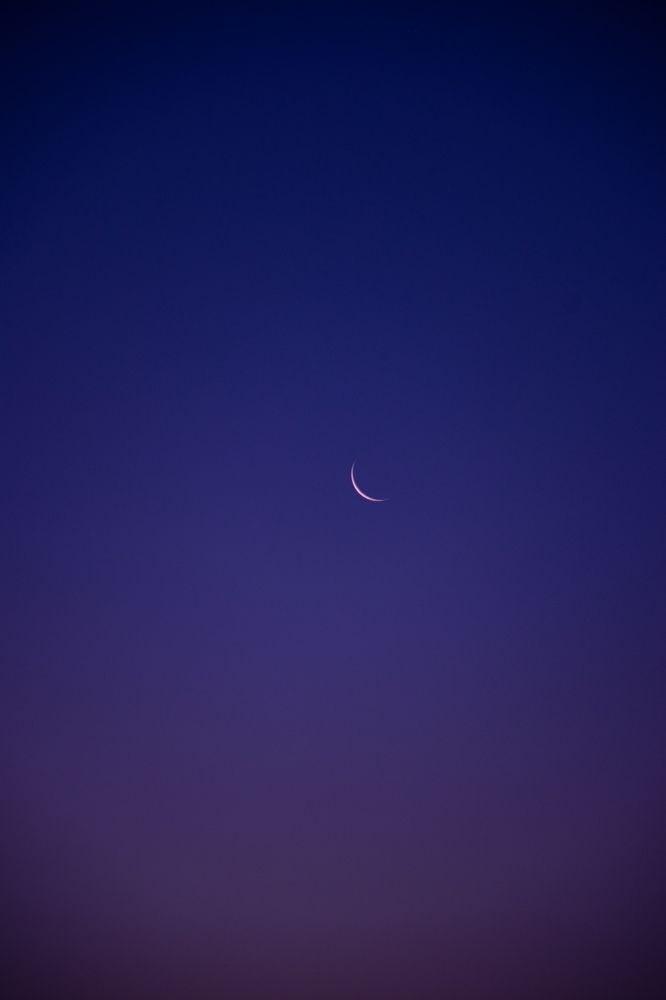 Фотография автора X Fedeeng