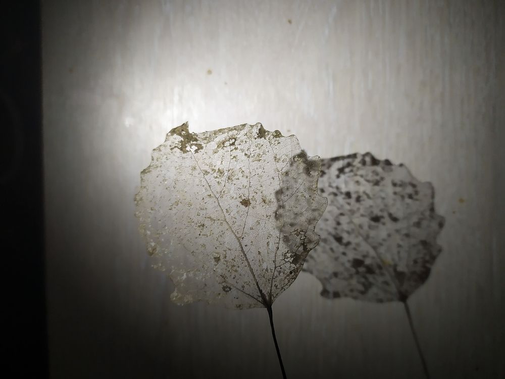 Photograph by Юлия Смирнова