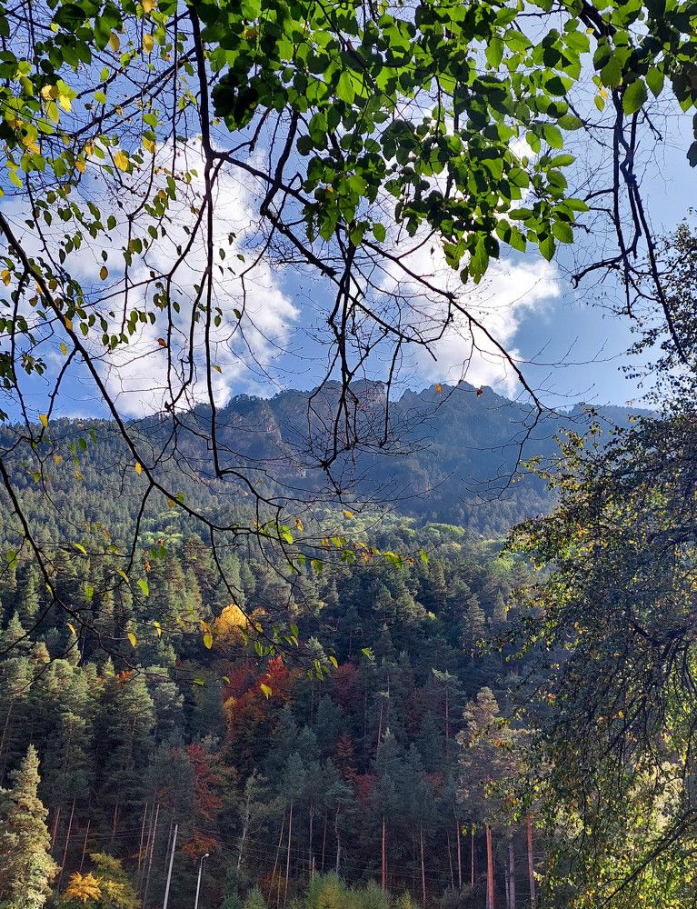 Photograph by Алена Жилина