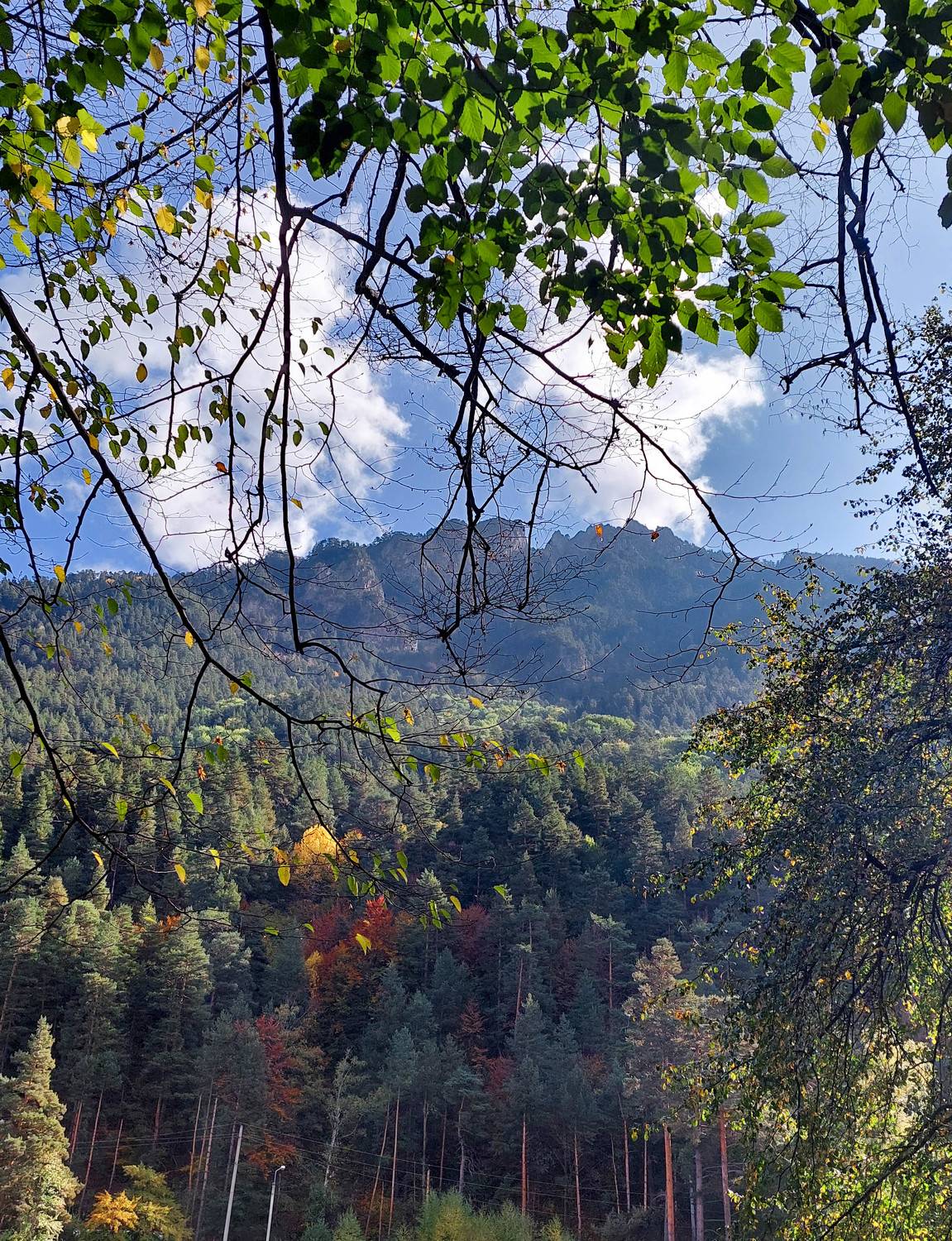 Photo #9728572