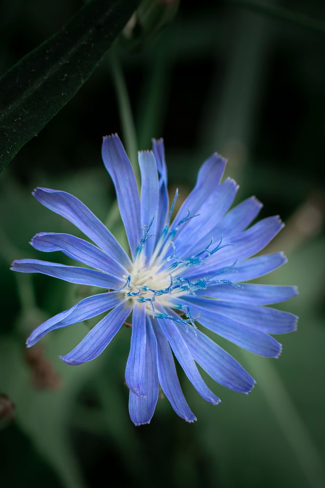 Фотография автора Клейменов Алексей