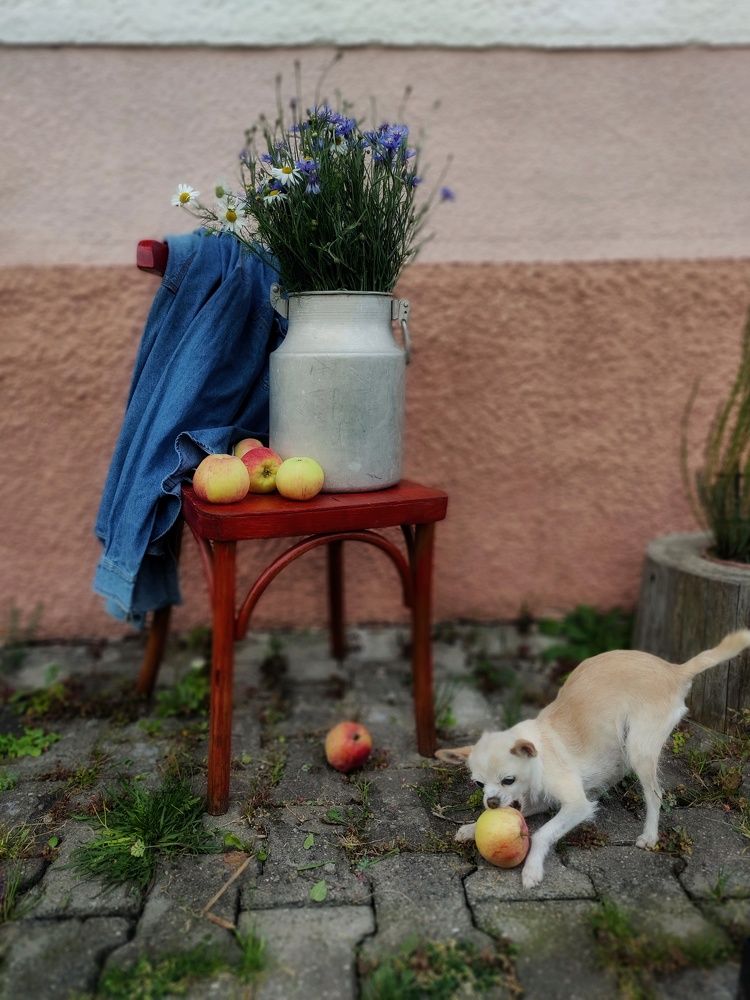 Photograph by Виктория Косинская