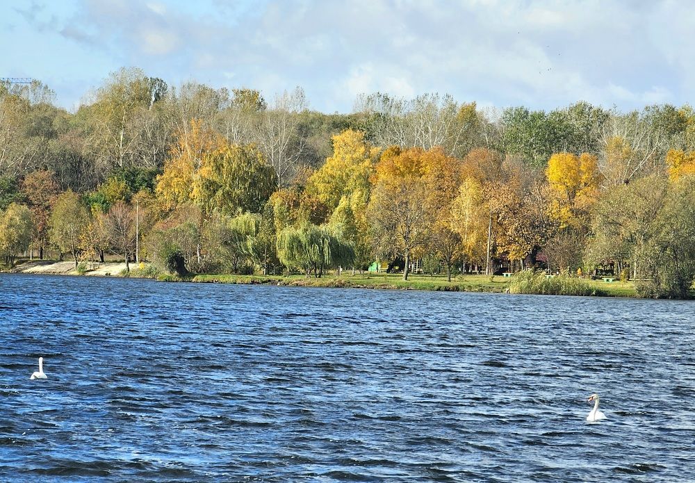 Photograph by даша ващенко