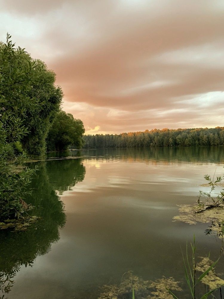 Photograph by Elena Lukashina