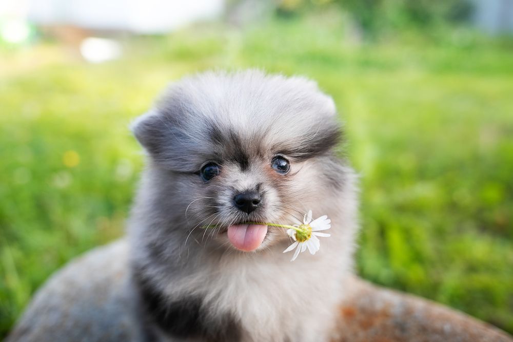 Photograph by Екатерина Терновая