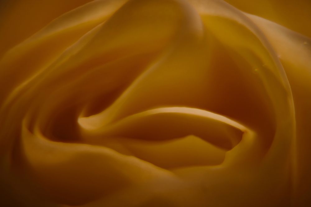 Фотография автора Александр Жданов