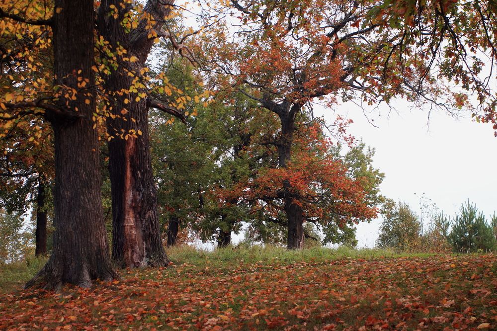 Photograph by Николай Круглов