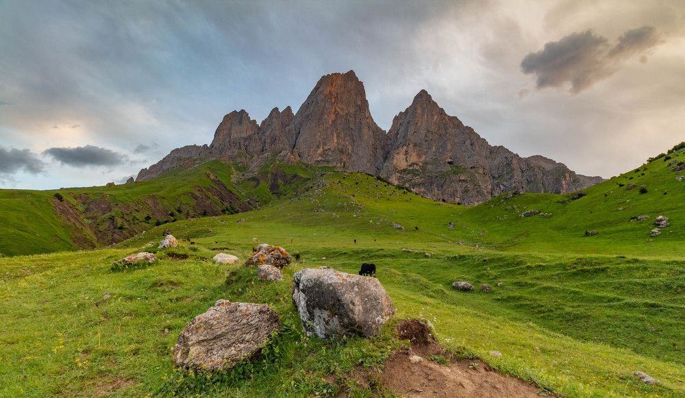 Photograph by Ирина Крепак