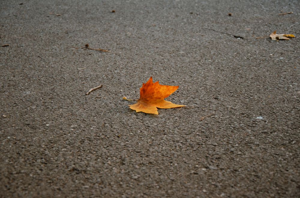 Photograph by Антонина Кирбатова